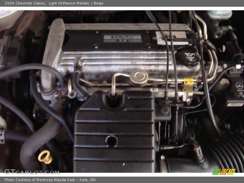 Light Driftwood Metallic / Beige 2004 Chevrolet Classic