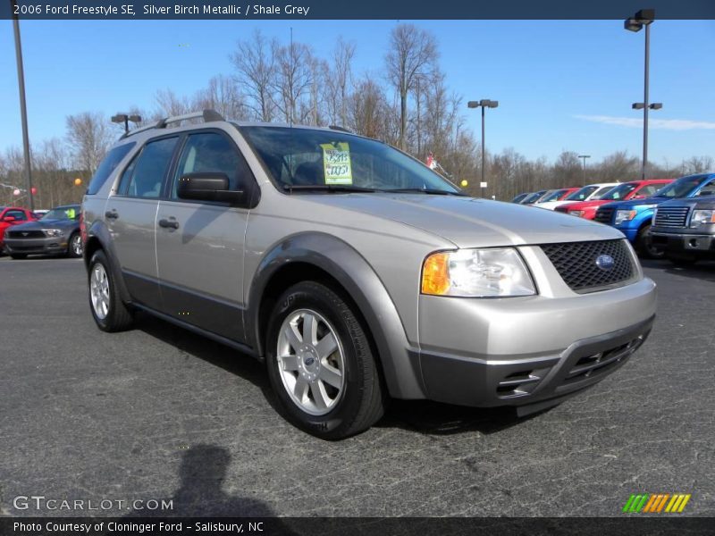 Silver Birch Metallic / Shale Grey 2006 Ford Freestyle SE