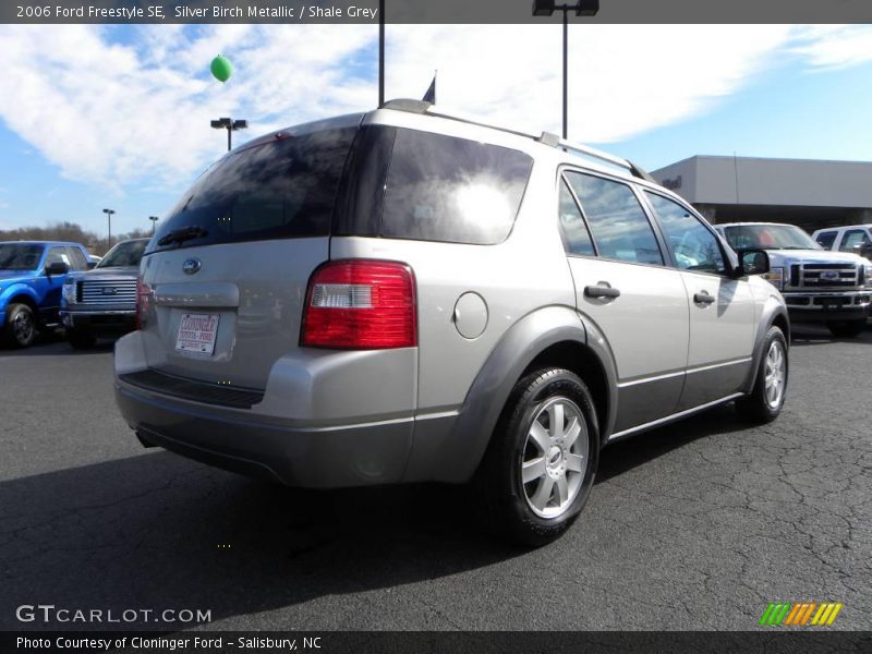 Silver Birch Metallic / Shale Grey 2006 Ford Freestyle SE