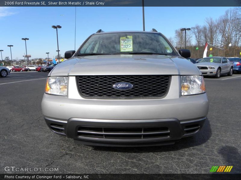 Silver Birch Metallic / Shale Grey 2006 Ford Freestyle SE