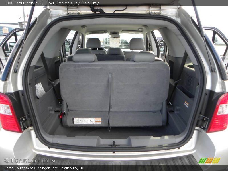 Silver Birch Metallic / Shale Grey 2006 Ford Freestyle SE