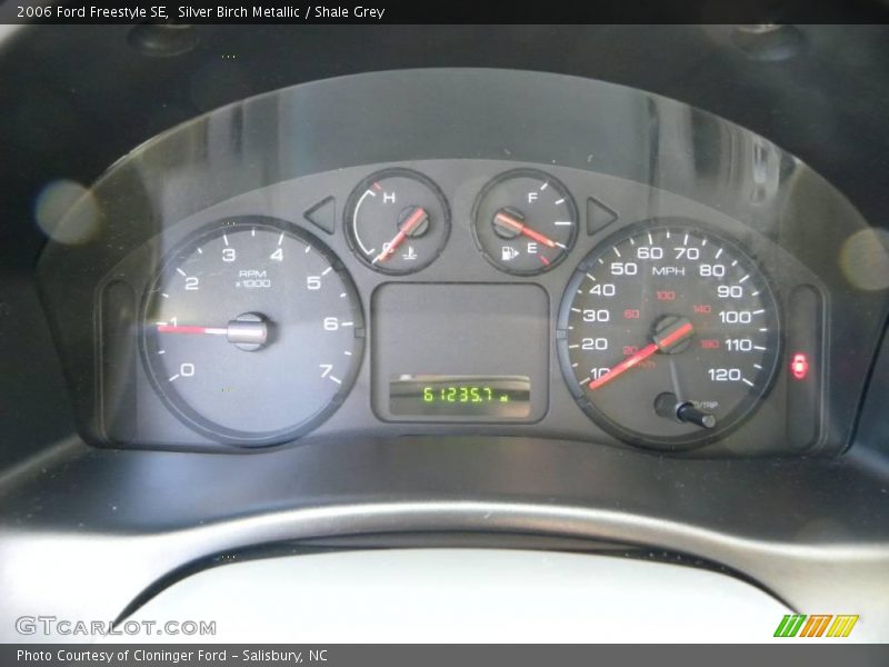 Silver Birch Metallic / Shale Grey 2006 Ford Freestyle SE
