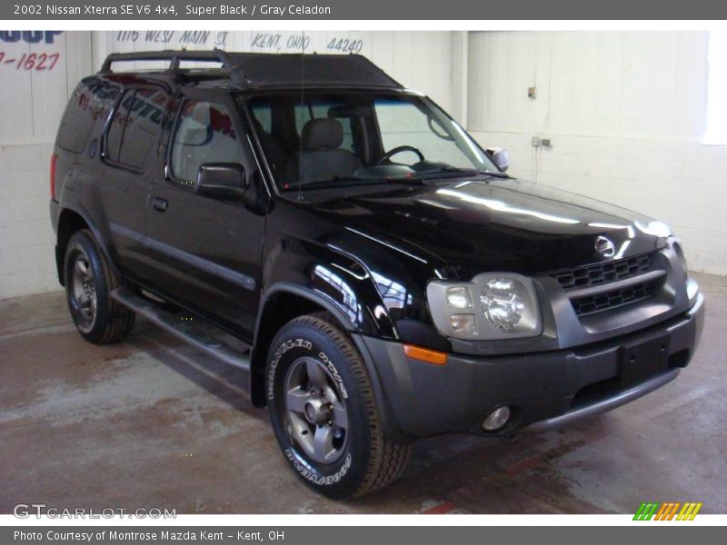 Super Black / Gray Celadon 2002 Nissan Xterra SE V6 4x4