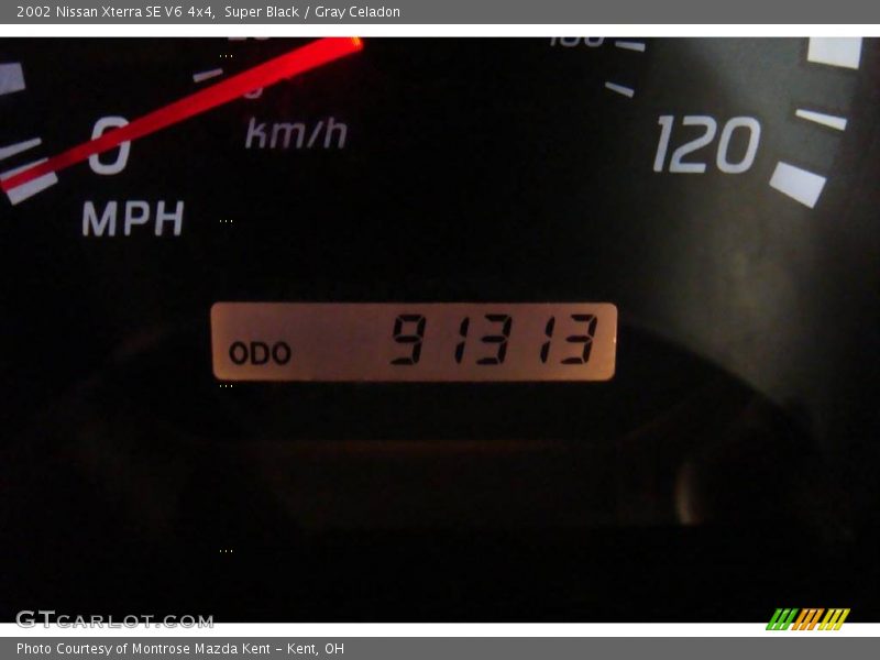 Super Black / Gray Celadon 2002 Nissan Xterra SE V6 4x4