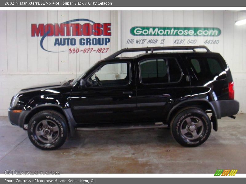 Super Black / Gray Celadon 2002 Nissan Xterra SE V6 4x4