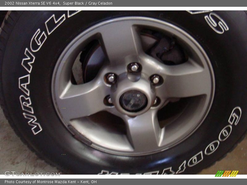 Super Black / Gray Celadon 2002 Nissan Xterra SE V6 4x4
