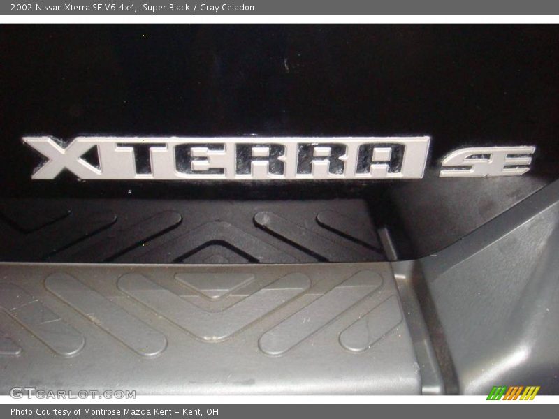 Super Black / Gray Celadon 2002 Nissan Xterra SE V6 4x4