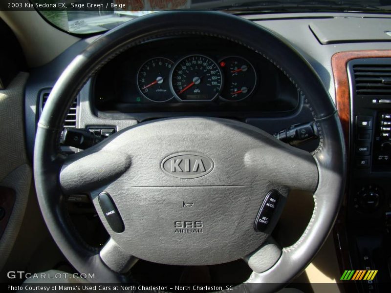 Sage Green / Beige 2003 Kia Sedona EX
