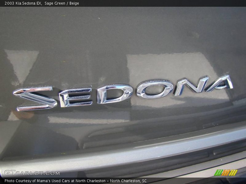 Sage Green / Beige 2003 Kia Sedona EX