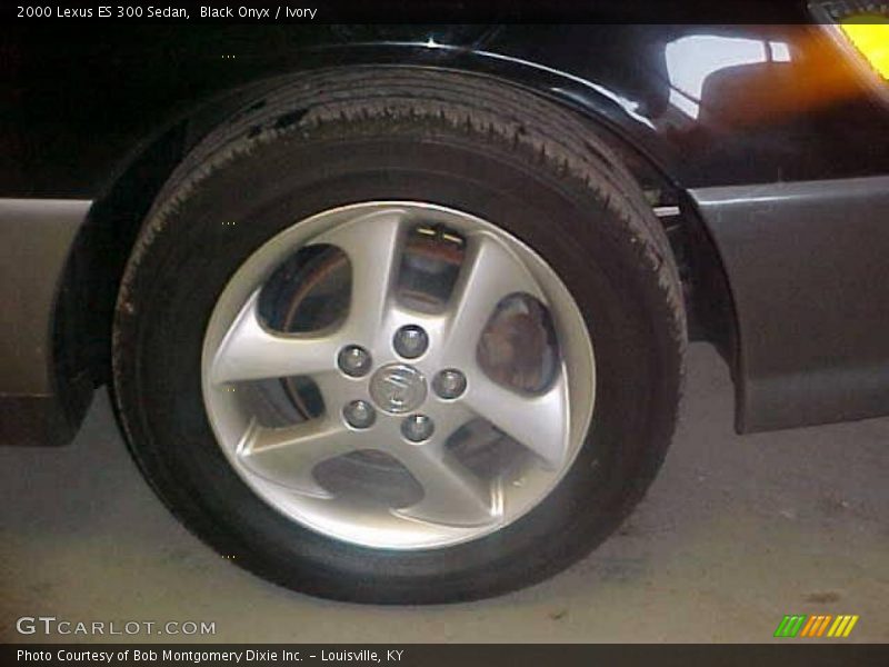 Black Onyx / Ivory 2000 Lexus ES 300 Sedan