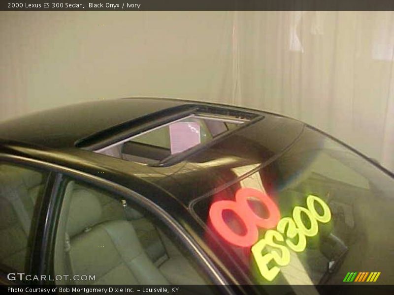 Black Onyx / Ivory 2000 Lexus ES 300 Sedan