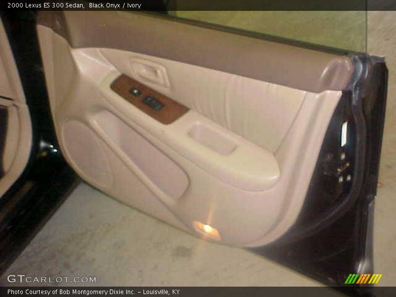 Black Onyx / Ivory 2000 Lexus ES 300 Sedan