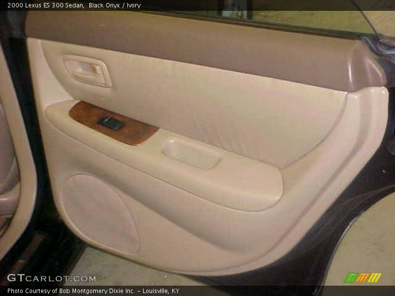 Black Onyx / Ivory 2000 Lexus ES 300 Sedan