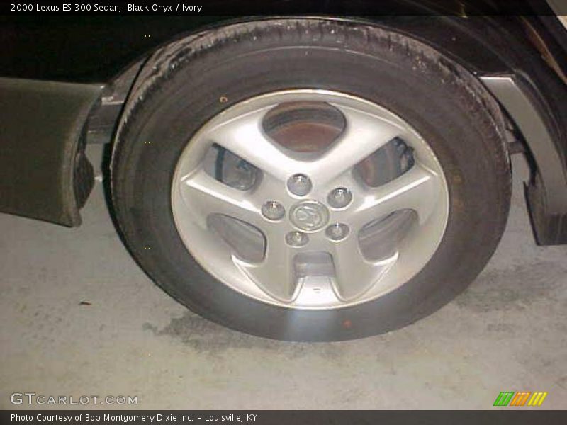 Black Onyx / Ivory 2000 Lexus ES 300 Sedan