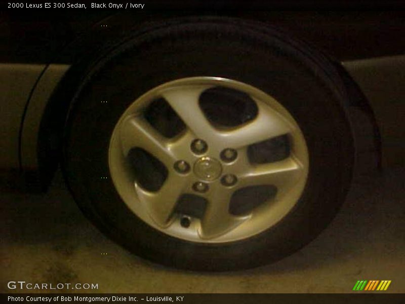 Black Onyx / Ivory 2000 Lexus ES 300 Sedan