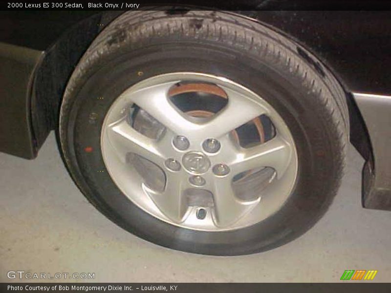 Black Onyx / Ivory 2000 Lexus ES 300 Sedan