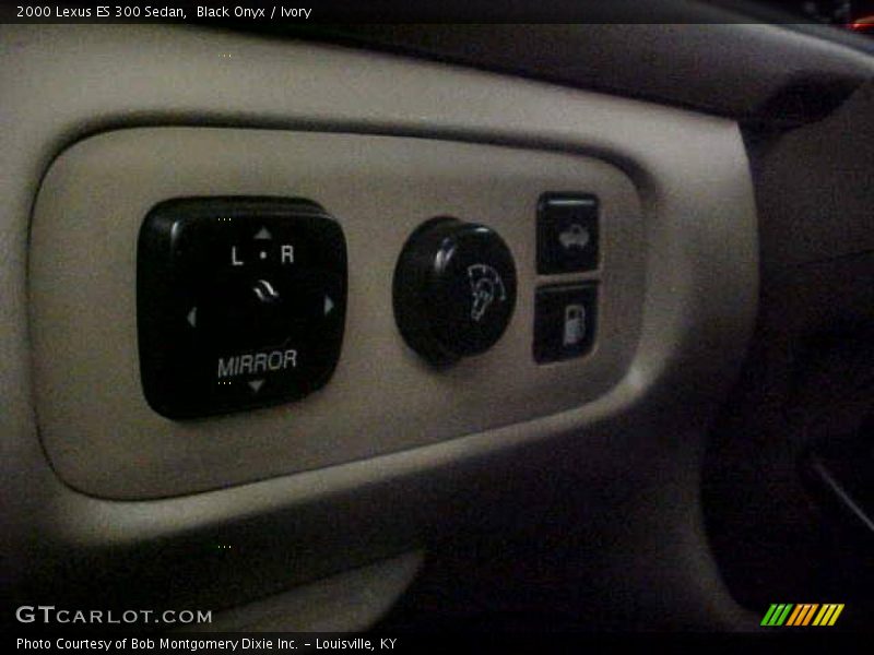 Black Onyx / Ivory 2000 Lexus ES 300 Sedan