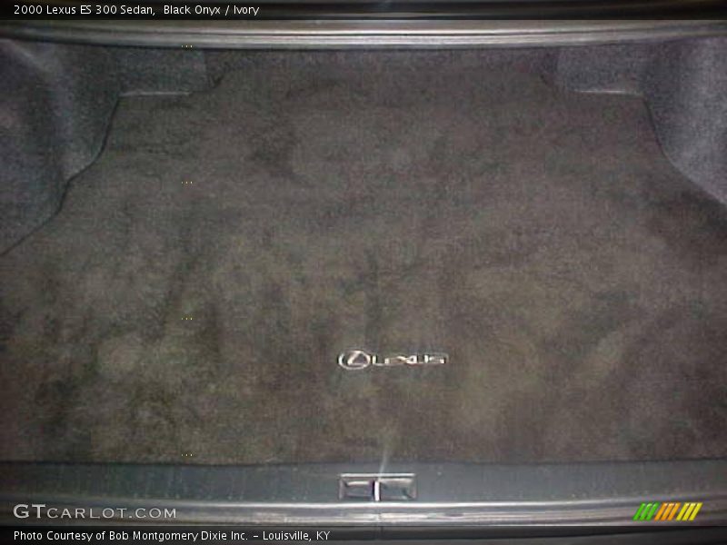 Black Onyx / Ivory 2000 Lexus ES 300 Sedan