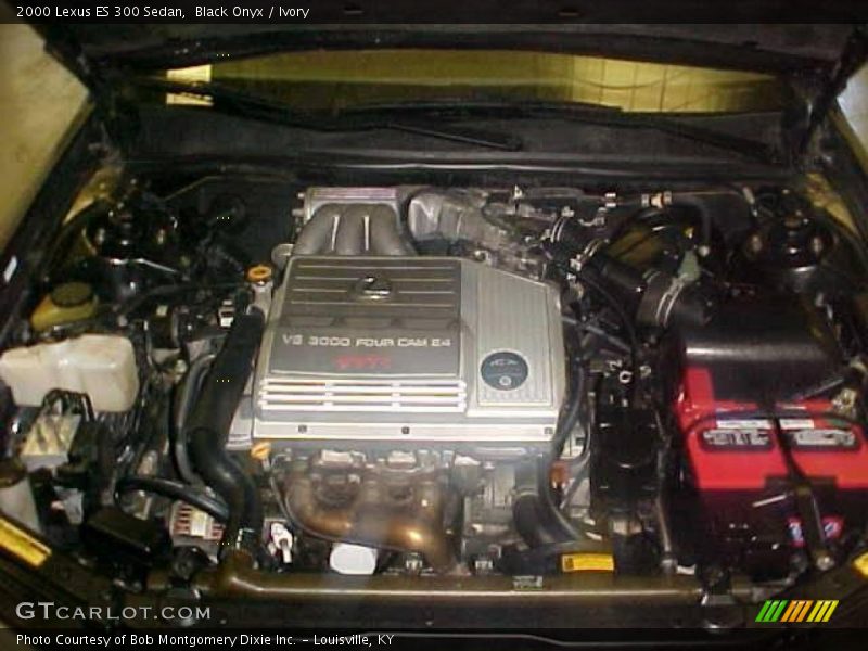 Black Onyx / Ivory 2000 Lexus ES 300 Sedan