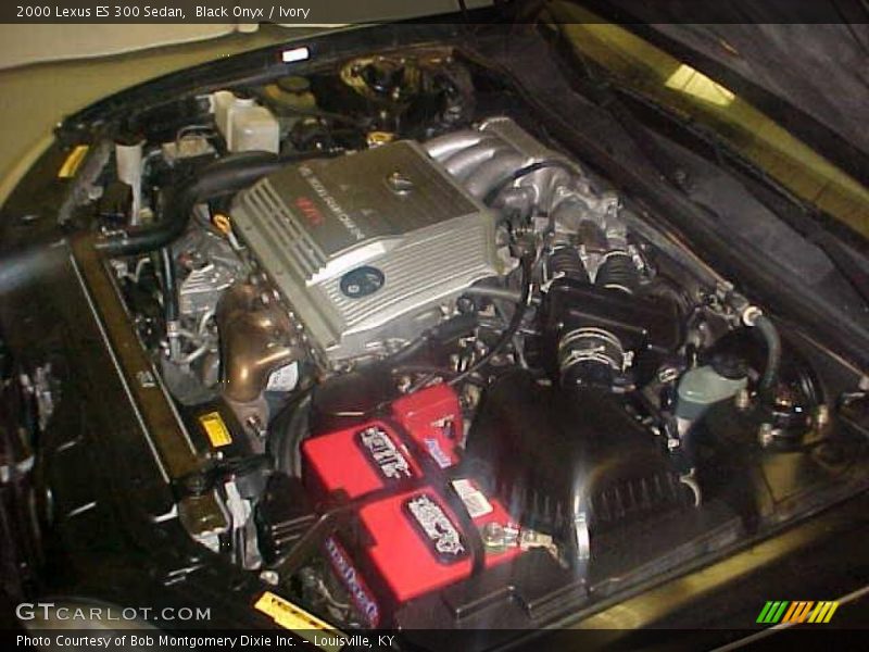 Black Onyx / Ivory 2000 Lexus ES 300 Sedan