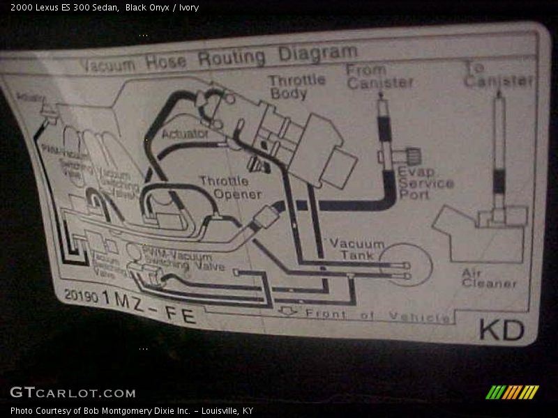 Black Onyx / Ivory 2000 Lexus ES 300 Sedan