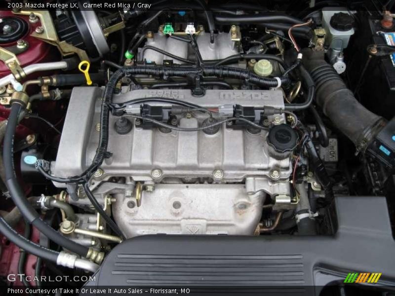 Garnet Red Mica / Gray 2003 Mazda Protege LX