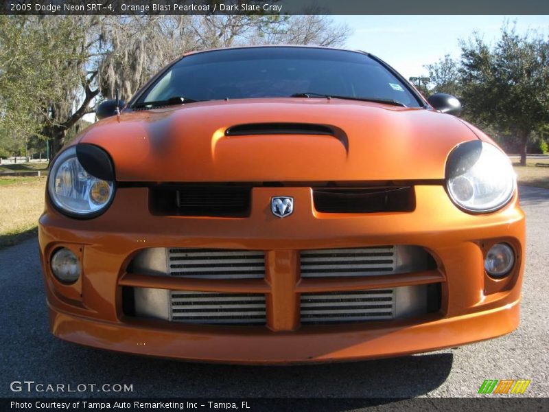 Orange Blast Pearlcoat / Dark Slate Gray 2005 Dodge Neon SRT-4