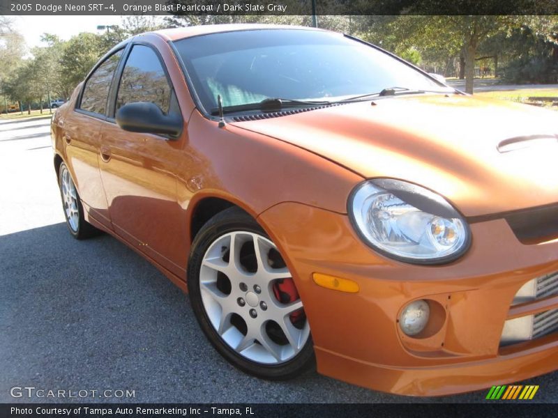 Orange Blast Pearlcoat / Dark Slate Gray 2005 Dodge Neon SRT-4
