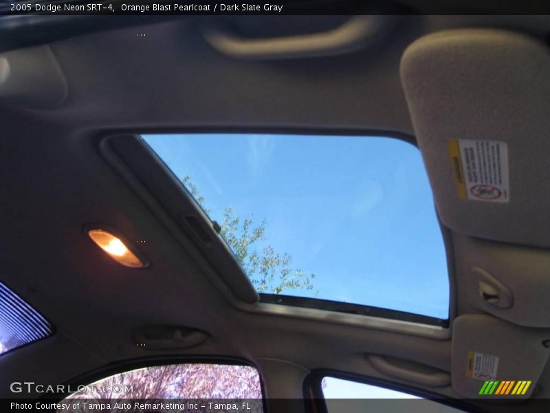 Orange Blast Pearlcoat / Dark Slate Gray 2005 Dodge Neon SRT-4