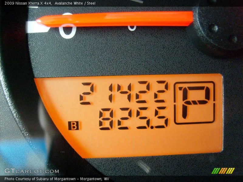 Avalanche White / Steel 2009 Nissan Xterra X 4x4