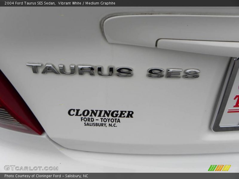 Vibrant White / Medium Graphite 2004 Ford Taurus SES Sedan