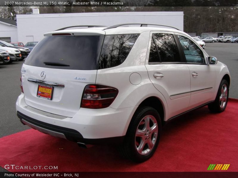 Alabaster White / Macadamia 2007 Mercedes-Benz ML 350 4Matic