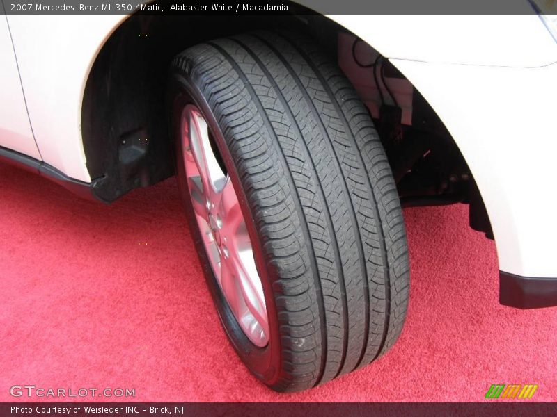 Alabaster White / Macadamia 2007 Mercedes-Benz ML 350 4Matic