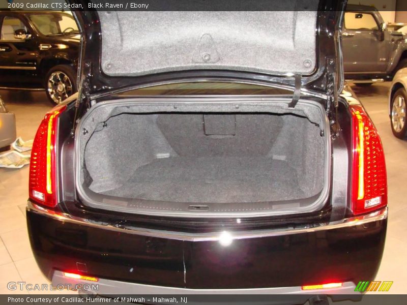 Black Raven / Ebony 2009 Cadillac CTS Sedan