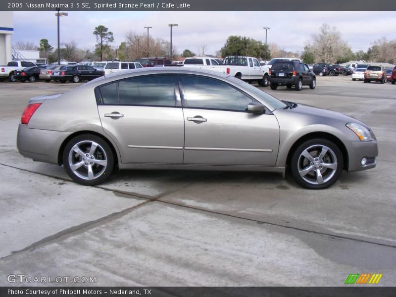 Spirited Bronze Pearl / Cafe Latte 2005 Nissan Maxima 3.5 SE