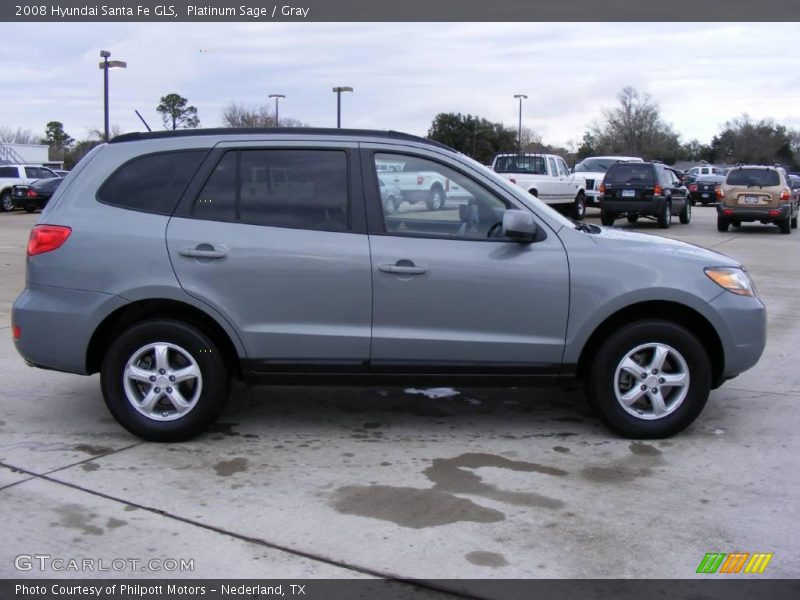 Platinum Sage / Gray 2008 Hyundai Santa Fe GLS