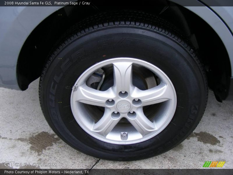 Platinum Sage / Gray 2008 Hyundai Santa Fe GLS