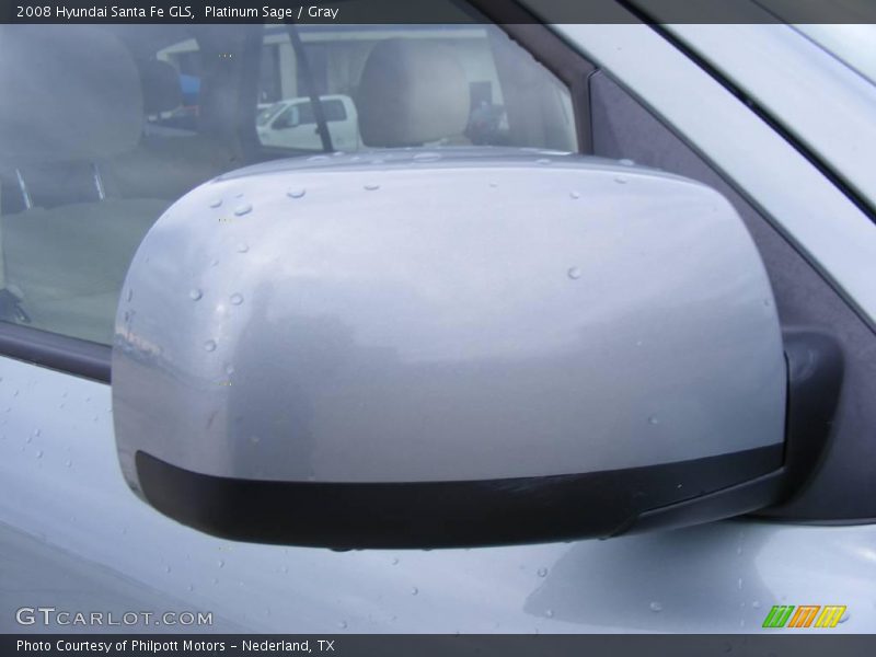 Platinum Sage / Gray 2008 Hyundai Santa Fe GLS