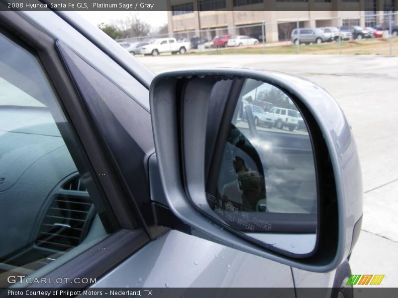 Platinum Sage / Gray 2008 Hyundai Santa Fe GLS