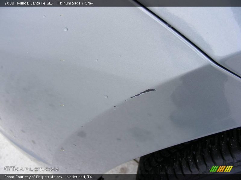 Platinum Sage / Gray 2008 Hyundai Santa Fe GLS