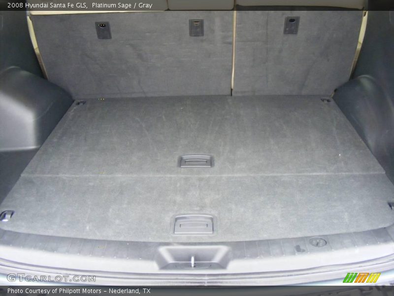 Platinum Sage / Gray 2008 Hyundai Santa Fe GLS