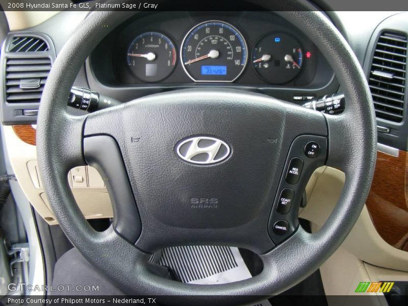 Platinum Sage / Gray 2008 Hyundai Santa Fe GLS