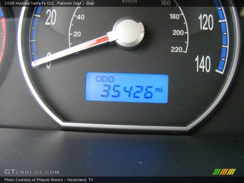 Platinum Sage / Gray 2008 Hyundai Santa Fe GLS