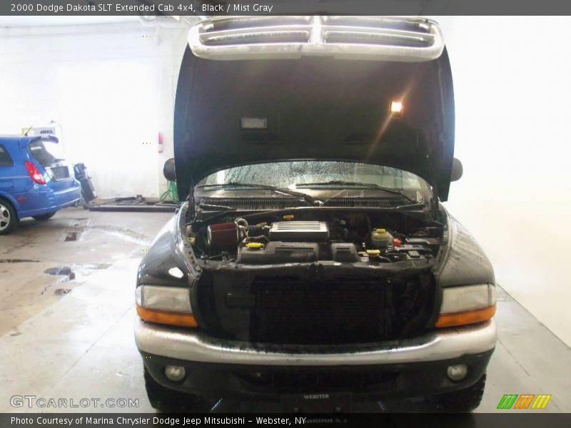 Black / Mist Gray 2000 Dodge Dakota SLT Extended Cab 4x4