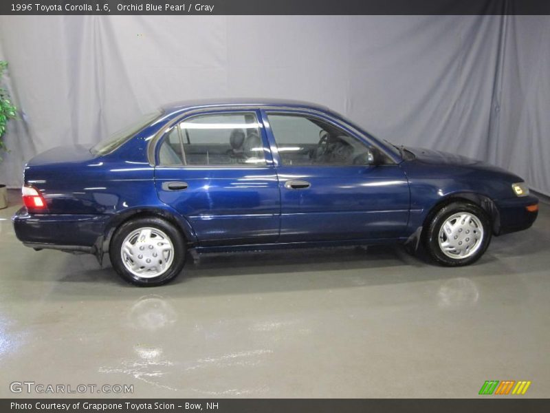 Orchid Blue Pearl / Gray 1996 Toyota Corolla 1.6