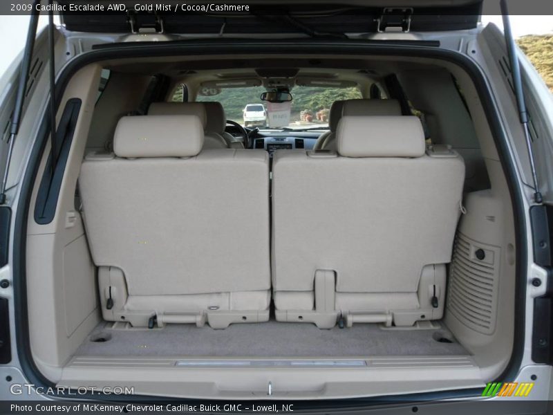 Gold Mist / Cocoa/Cashmere 2009 Cadillac Escalade AWD