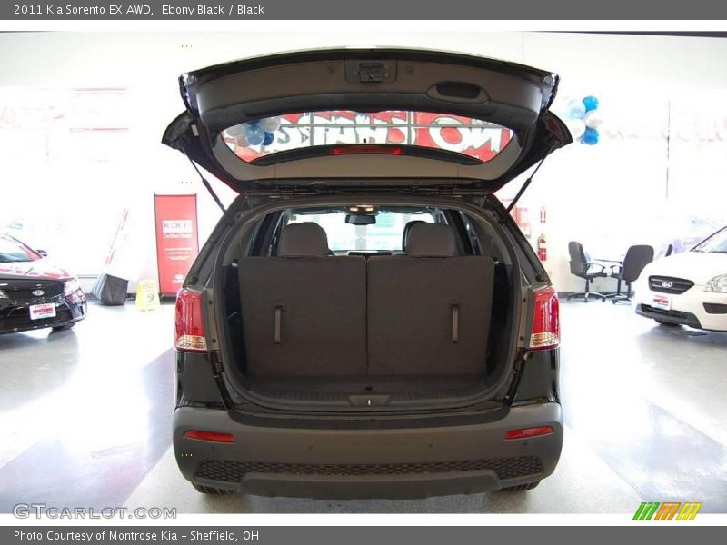 Ebony Black / Black 2011 Kia Sorento EX AWD