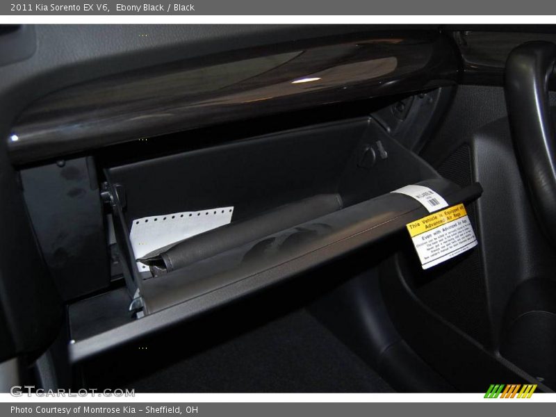 Ebony Black / Black 2011 Kia Sorento EX V6