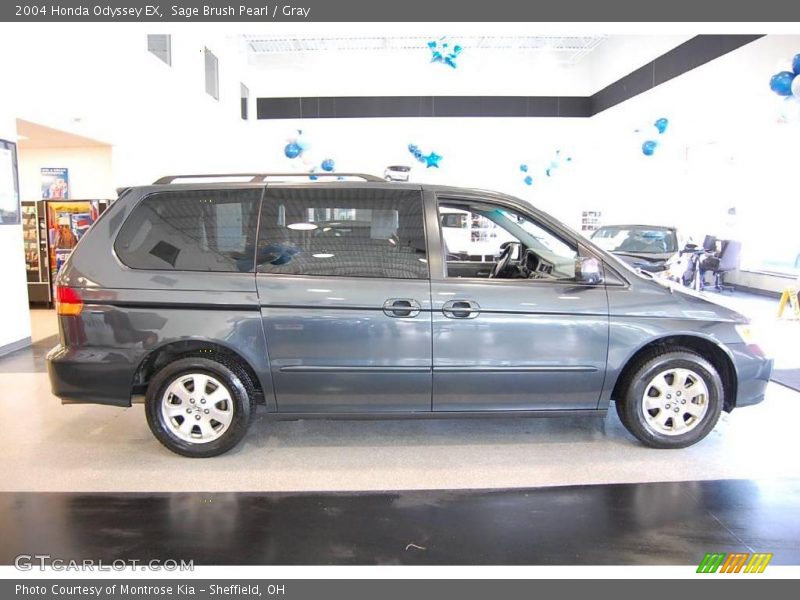 Sage Brush Pearl / Gray 2004 Honda Odyssey EX