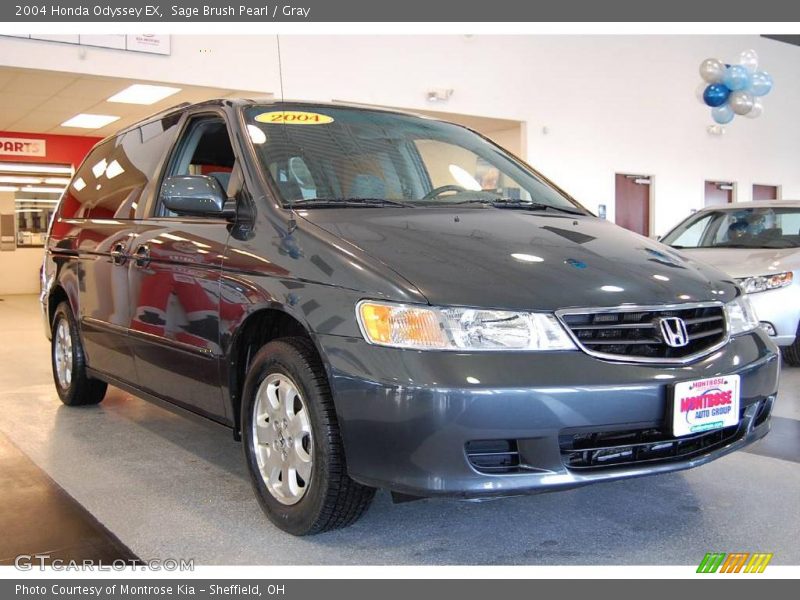 Sage Brush Pearl / Gray 2004 Honda Odyssey EX